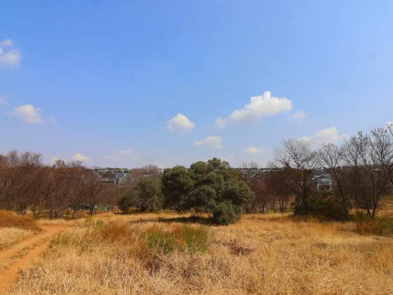 A view of a vacant residential plot featuring natural dry grass, mature trees, and a dirt access path under a clear blue sky.
