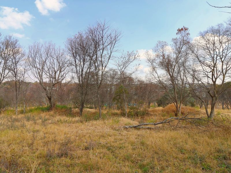 A view of a vacant residential plot featuring established trees and natural grassland vegetation.