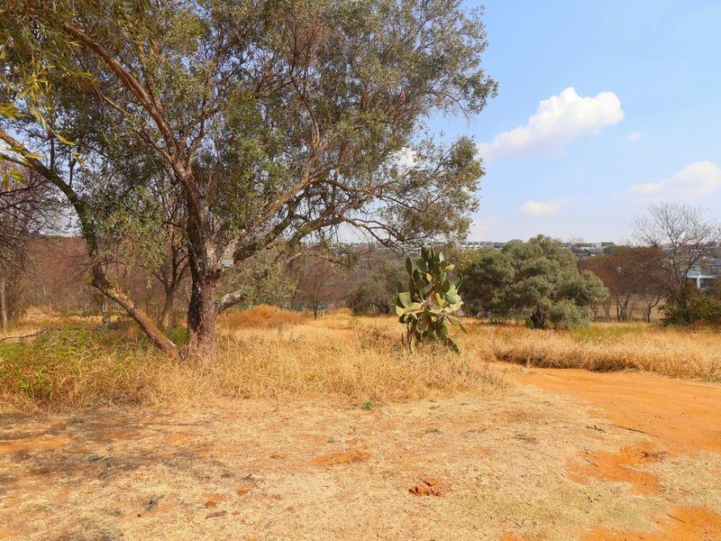 A vacant residential plot featuring mature trees, natural dry grass, and a dirt access path, offering a clear view of the surrounding landscape.