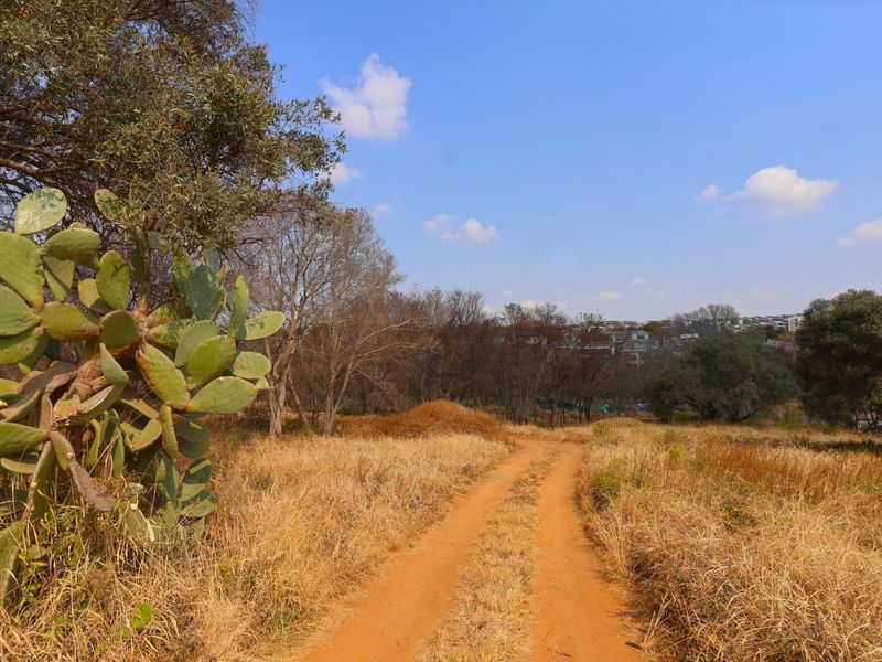 A view of a vacant residential plot featuring a dirt track, natural vegetation, and established trees under a clear blue sky.