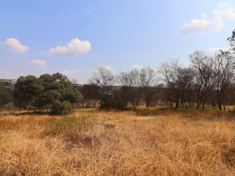 A view of a vacant residential plot featuring dry grass and scattered trees under a clear blue sky.