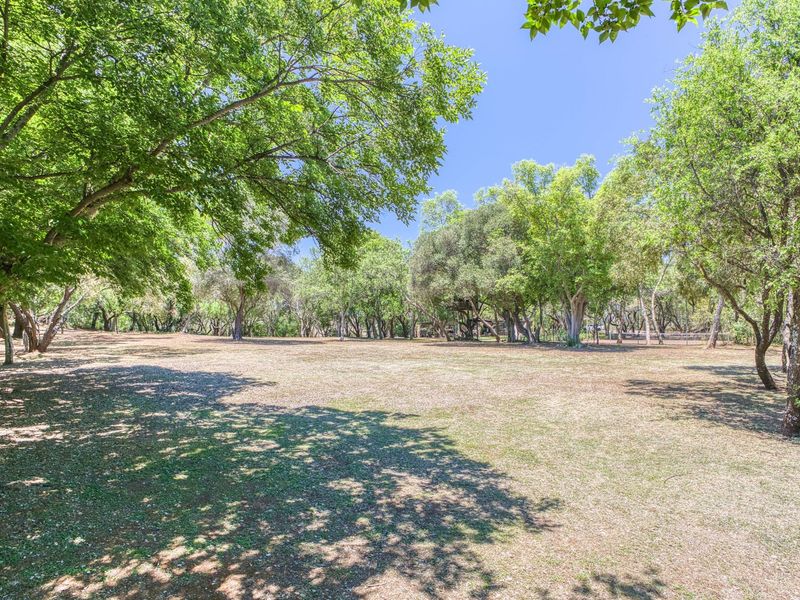 A spacious, level garden area featuring established mature trees and open lawn space, offering a peaceful and natural outdoor setting.