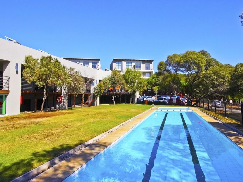 A well-maintained outdoor lap pool area featuring a landscaped garden, wooden decking, and modern apartment building architecture.