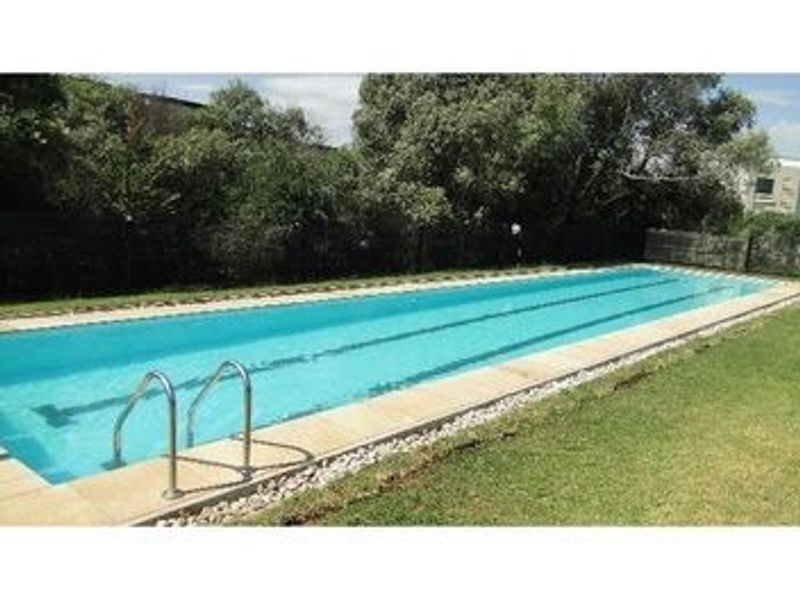 A rectangular outdoor swimming pool featuring a paved surround and metal access ladder, set within a landscaped garden area.