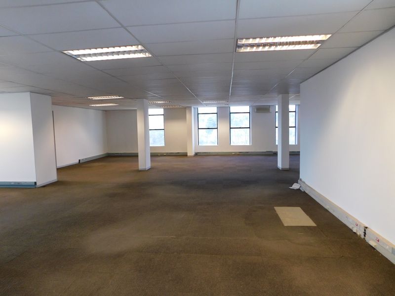 A spacious, open-plan office area featuring a suspended ceiling, recessed lighting, and large windows, currently vacant and ready for custom fit-out.
