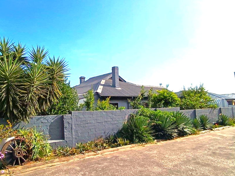 Brimming with Character - Photo 2