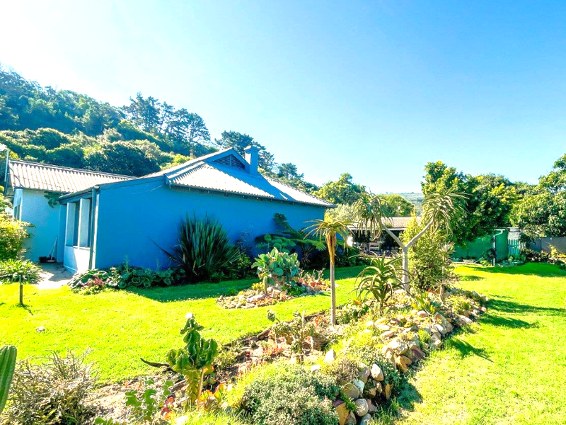 Brimming with Character - Photo 3