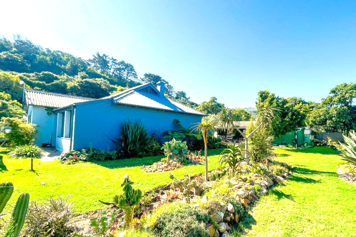 Brimming with Character - Photo 3