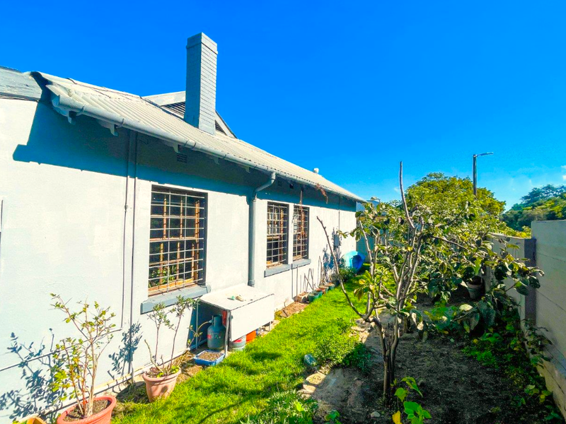 Brimming with Character - Photo 4