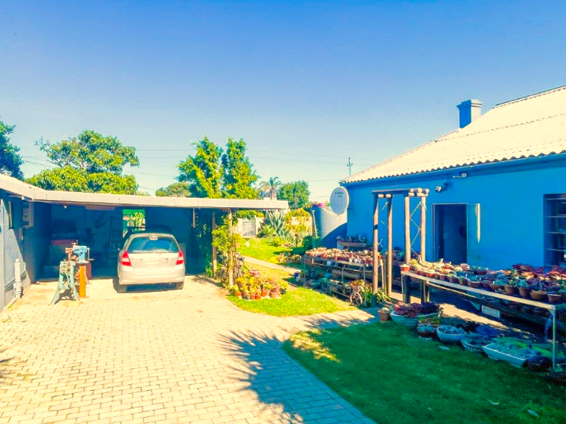 Brimming with Character - Photo 5