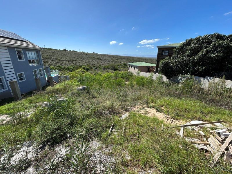 LOVELY LARGE VACANT 809  SQM STAND IN SOUGHT AFTER WAVECREST AREA - Photo 10