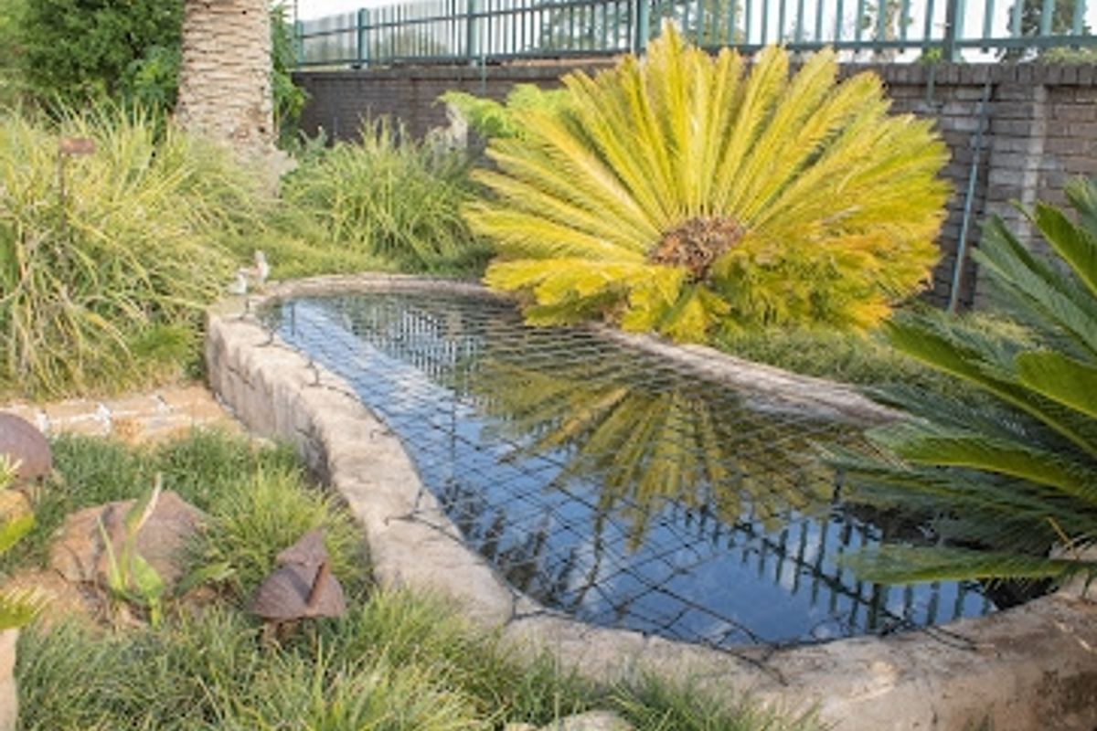 🌿 Lifestyle Living with Everything You Can Imagine — Even a Wishing Well! - Photo 5
