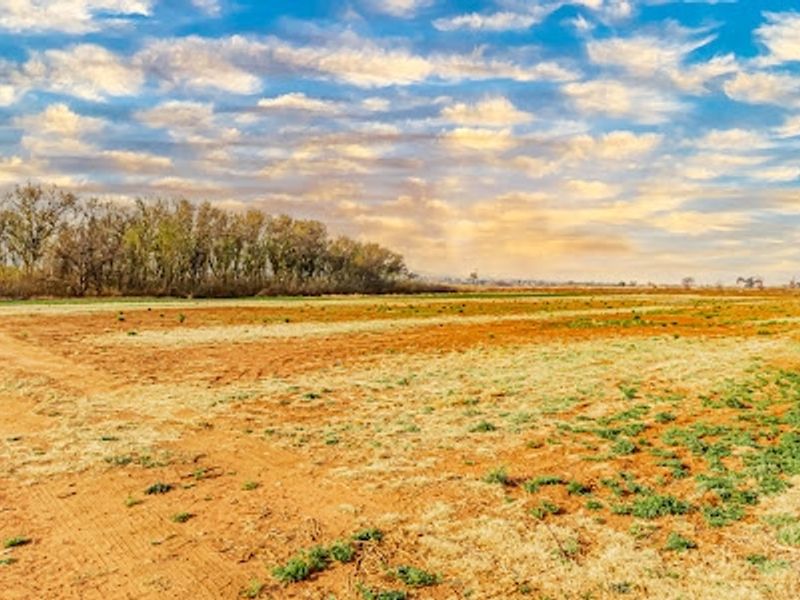 Business, Home, or Farm – The Choice Is Yours - Photo 1