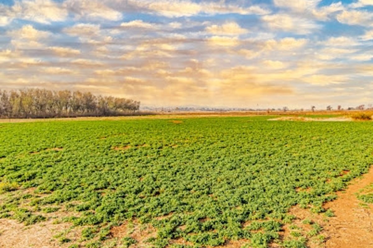 Business, Home, or Farm – The Choice Is Yours - Photo 2