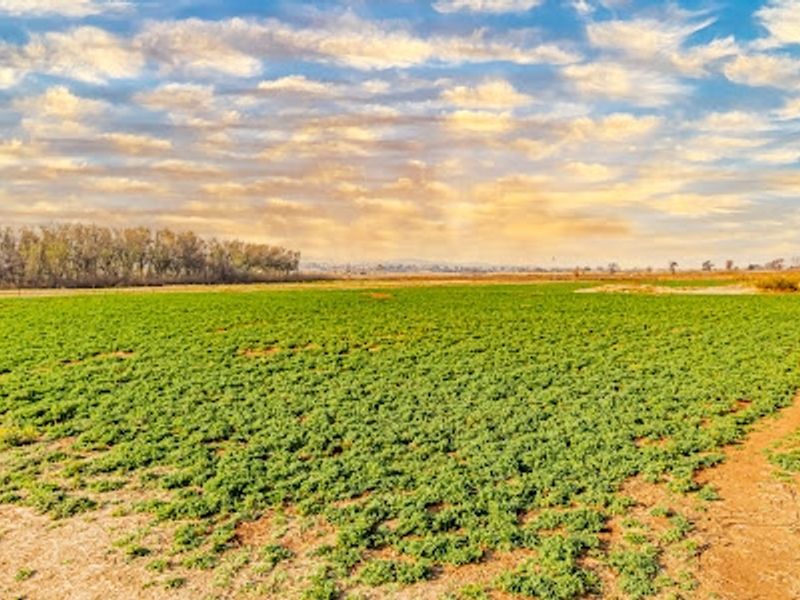 Business, Home, or Farm – The Choice Is Yours - Photo 2