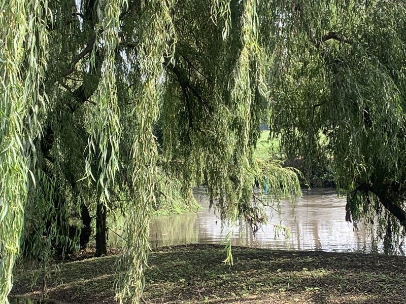 18 Hectares of Prime Land with Scenic Riverfront - Photo 4
