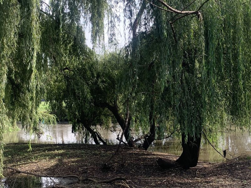 18 Hectares of Prime Land with Scenic Riverfront - Photo 8