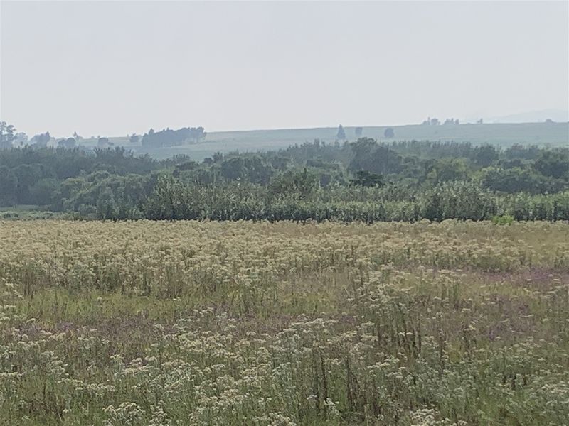18 Hectares of Prime Land with Scenic Riverfront - Photo 10