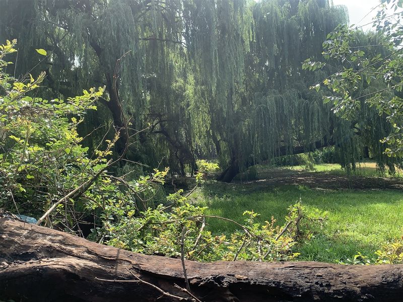 18 Hectares of Prime Land with Scenic Riverfront - Photo 3