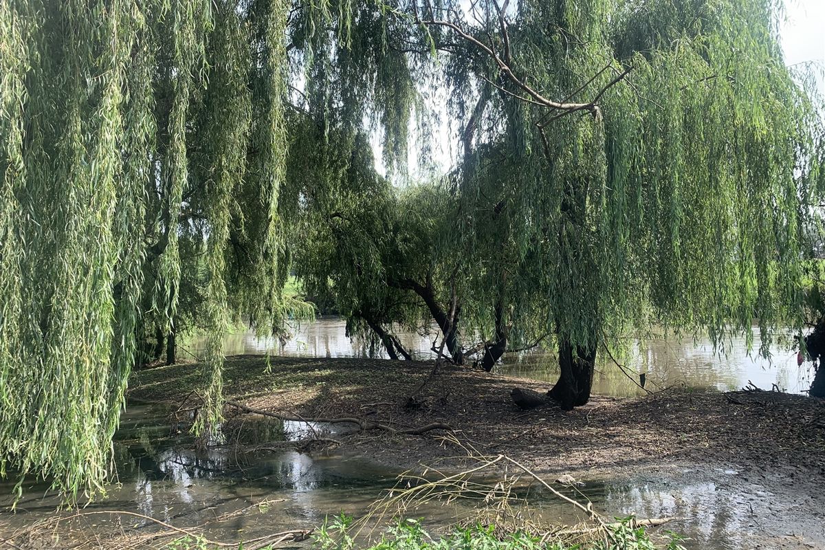 18 Hectares of Prime Land with Scenic Riverfront - Photo 5