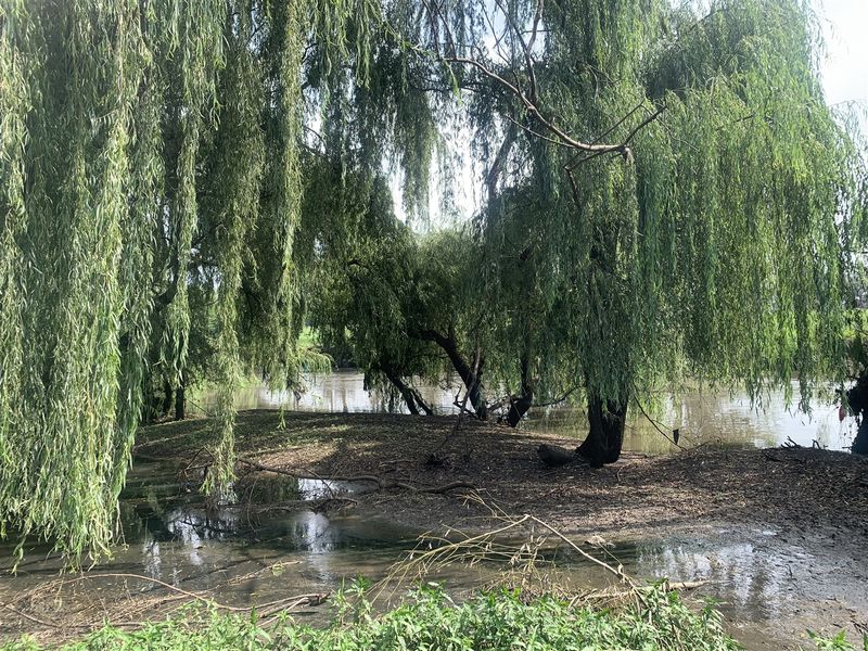 18 Hectares of Prime Land with Scenic Riverfront - Photo 5