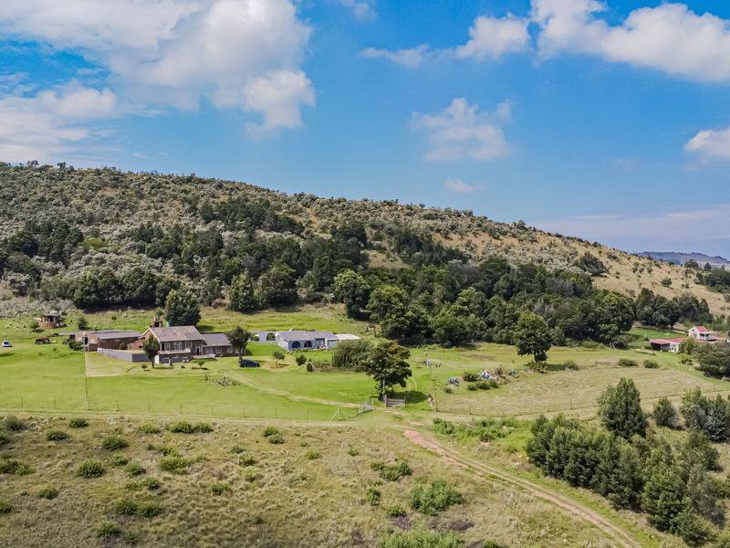 A True Gem with Boundless Potential - Photo 5