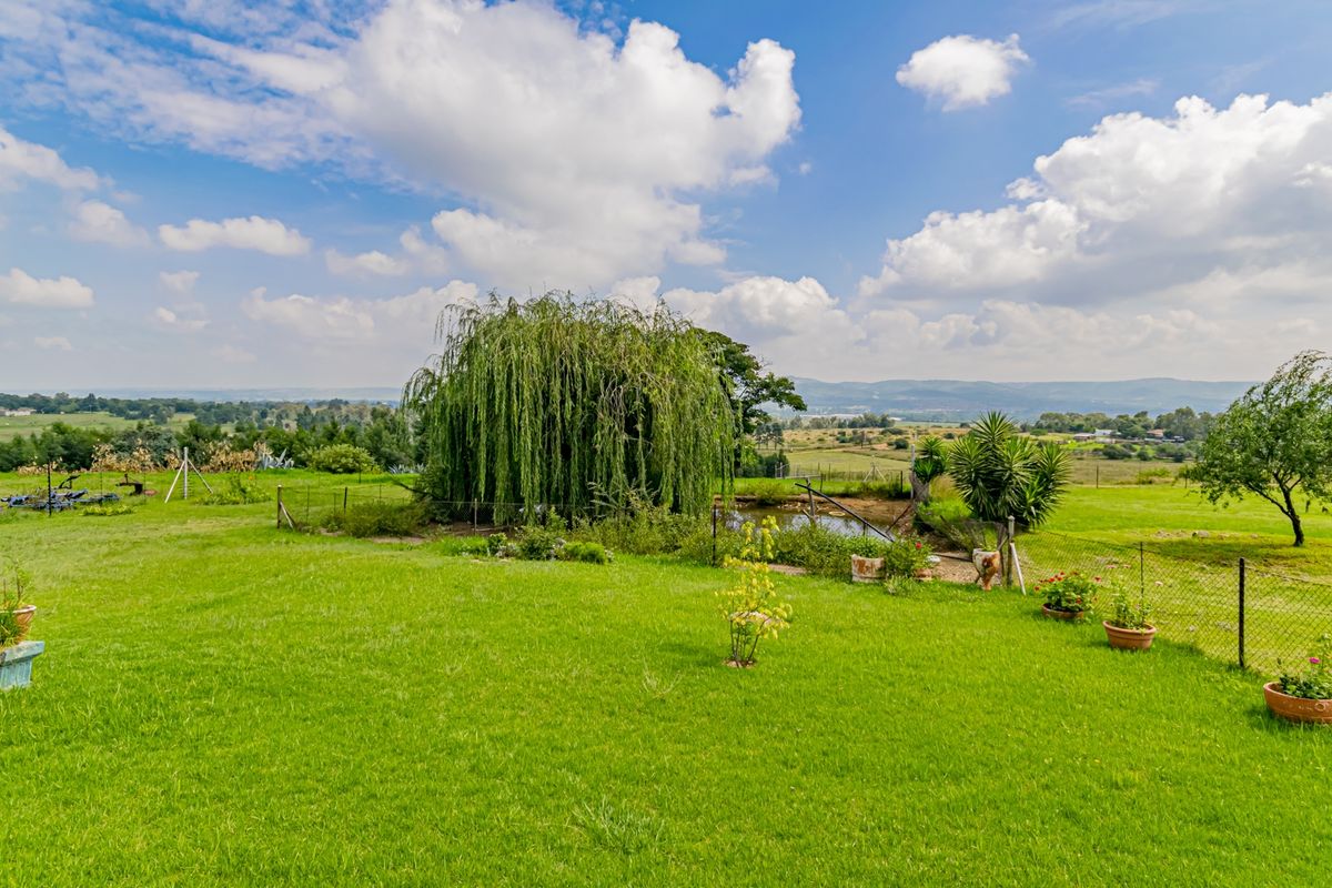 A True Gem with Boundless Potential - Photo 3