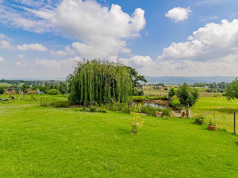 A True Gem with Boundless Potential - Photo 3