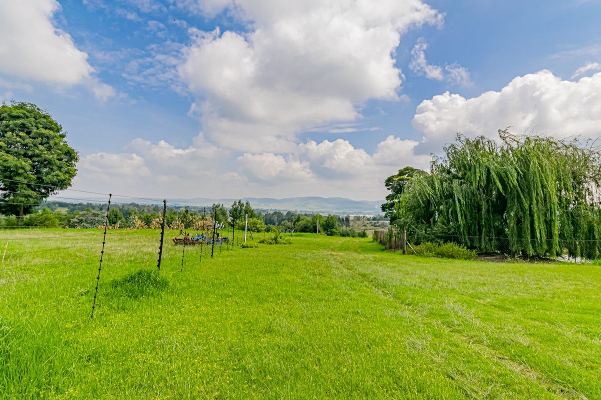 A True Gem with Boundless Potential - Photo 4