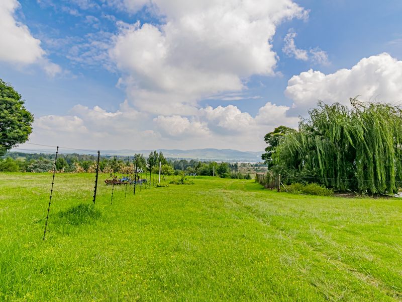 A True Gem with Boundless Potential - Photo 4