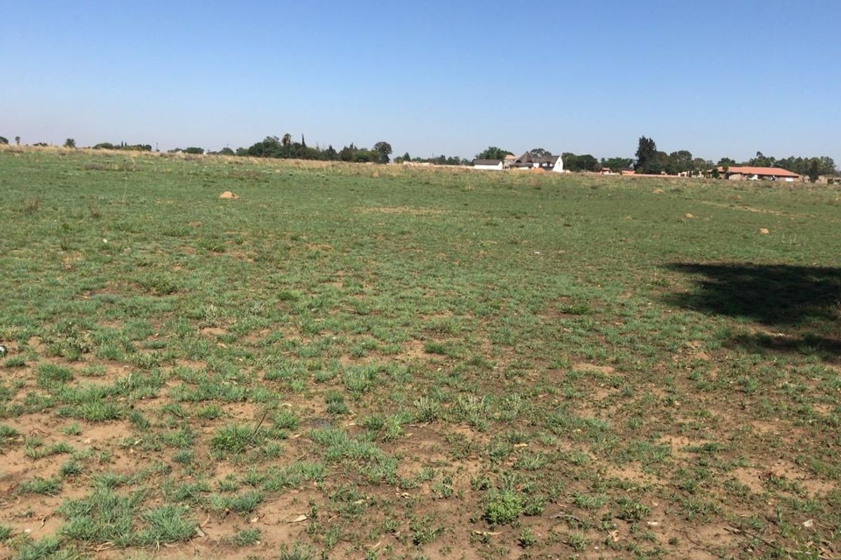 A wide-angle view of a vacant residential plot featuring open grassland and a clear horizon.