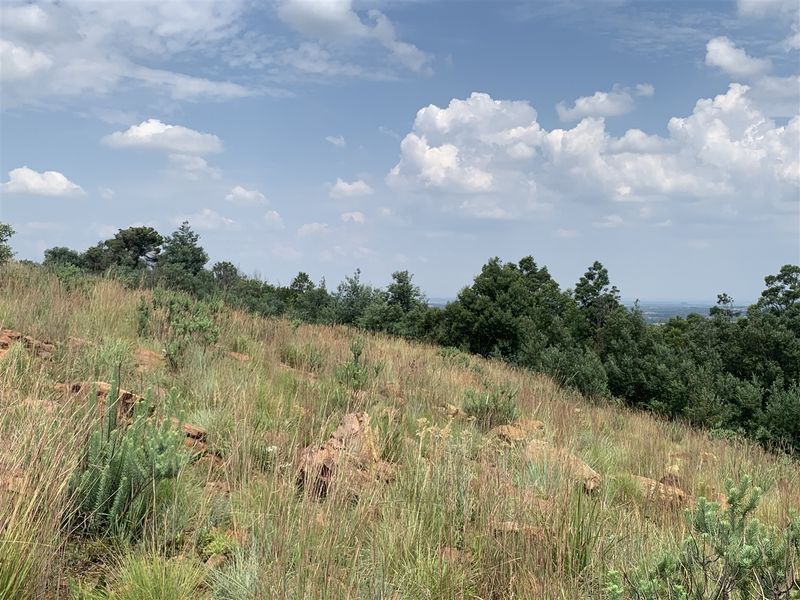 Prime Development Land with Scenic Views in Gated Community - Photo 10