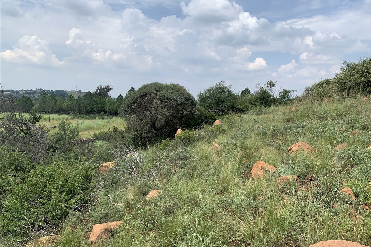 Prime Development Land with Scenic Views in Gated Community - Photo 5