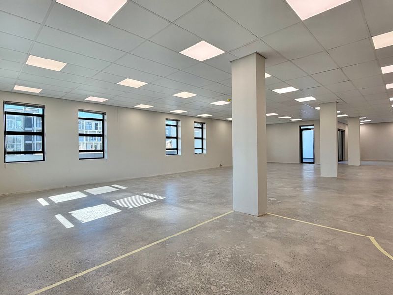 A spacious, open-plan commercial office area featuring polished concrete floors, a modern suspended ceiling with recessed lighting, and large windows providing ample natural light.