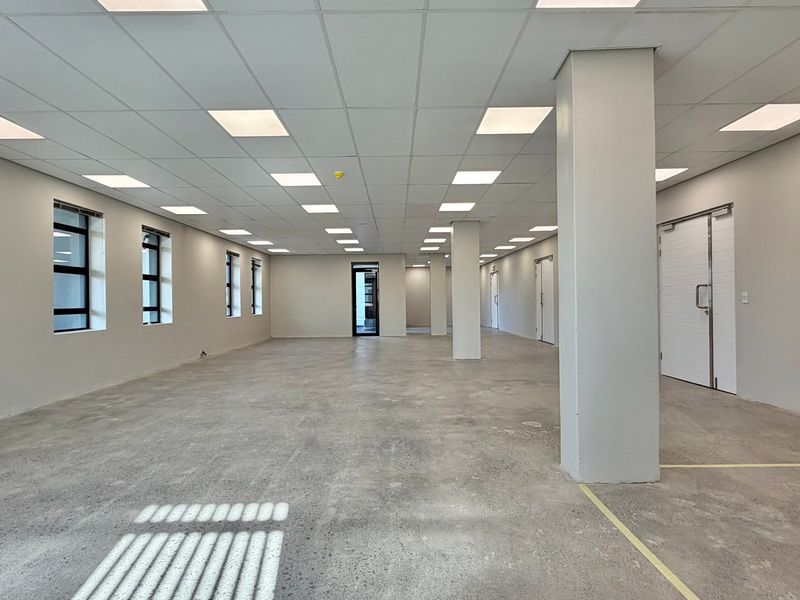 Spacious open-plan commercial office area featuring polished concrete floors, suspended ceilings with recessed lighting, and large windows providing ample natural light.