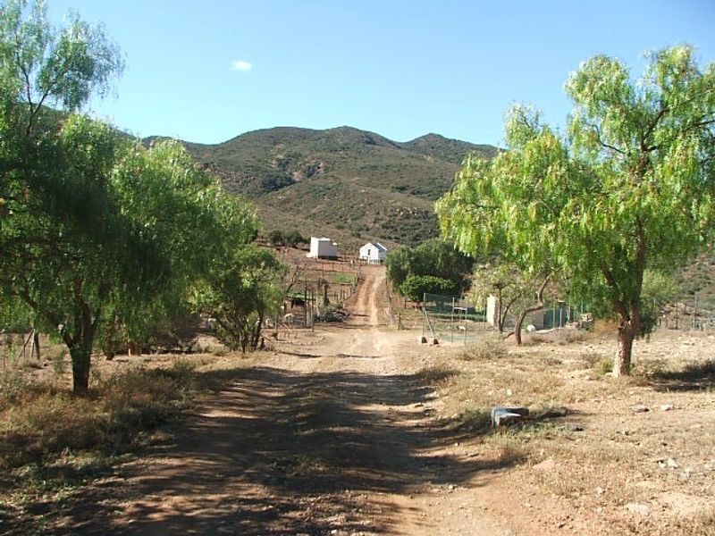 A view of the dirt driveway leading towards the farm buildings, surrounded by open landscape and mature trees.