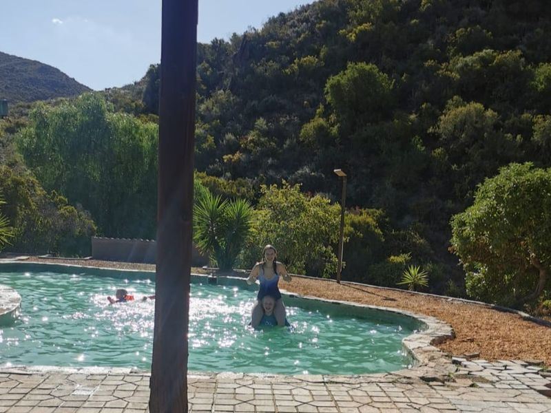 Outdoor swimming pool area featuring stone paving and natural landscape views, set within a rural farm environment.