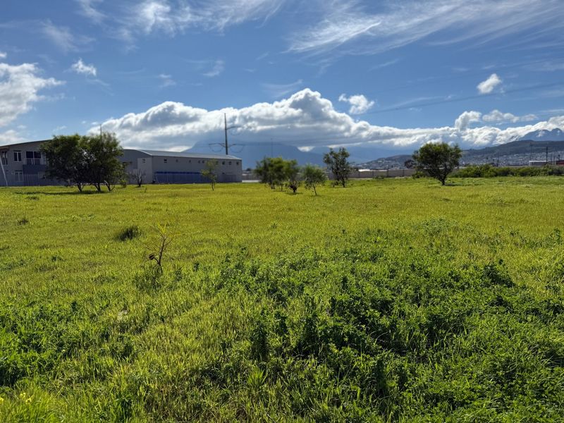 A wide-angle view of a vacant commercial land plot featuring open grassland and mature trees with surrounding industrial buildings in the background.