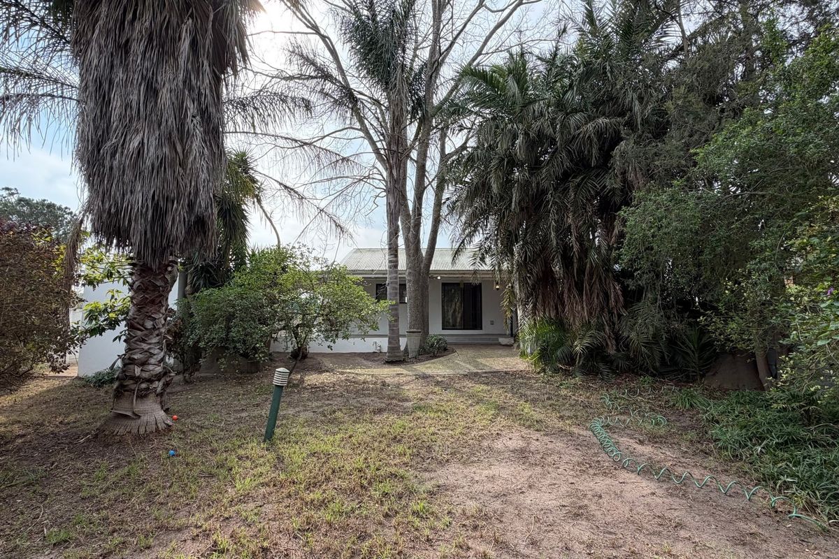 Rear view of the cottage featuring a mature garden with established palm trees, a paved pathway, and sliding door access to the home.