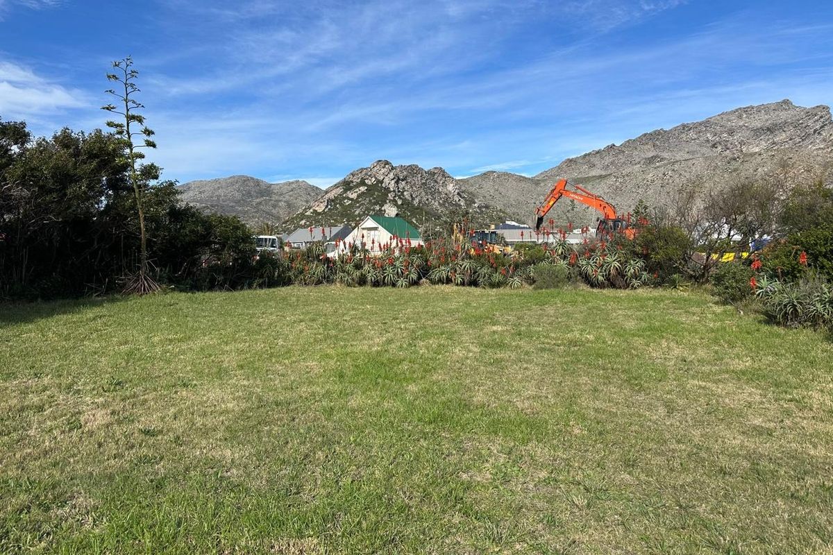 A spacious, level residential plot featuring established indigenous vegetation and scenic mountain views in the background.