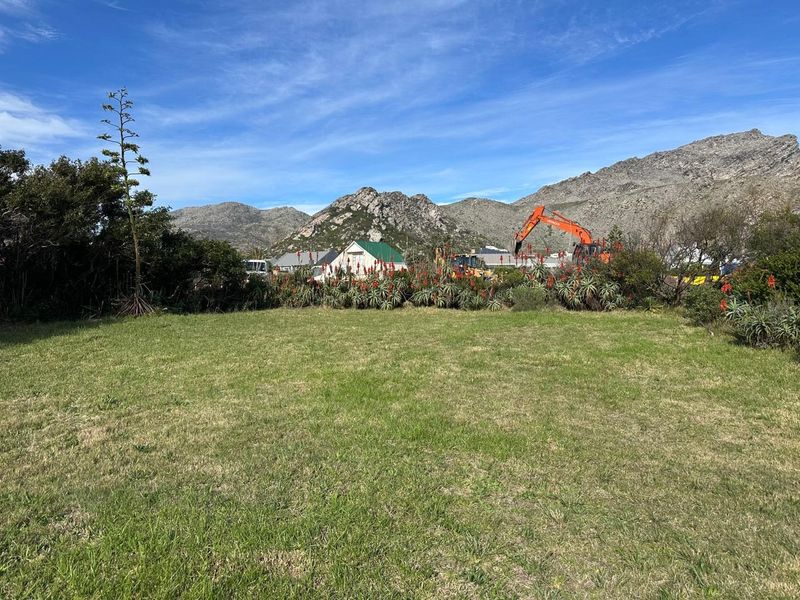 A spacious, level residential plot featuring established indigenous vegetation and scenic mountain views in the background.