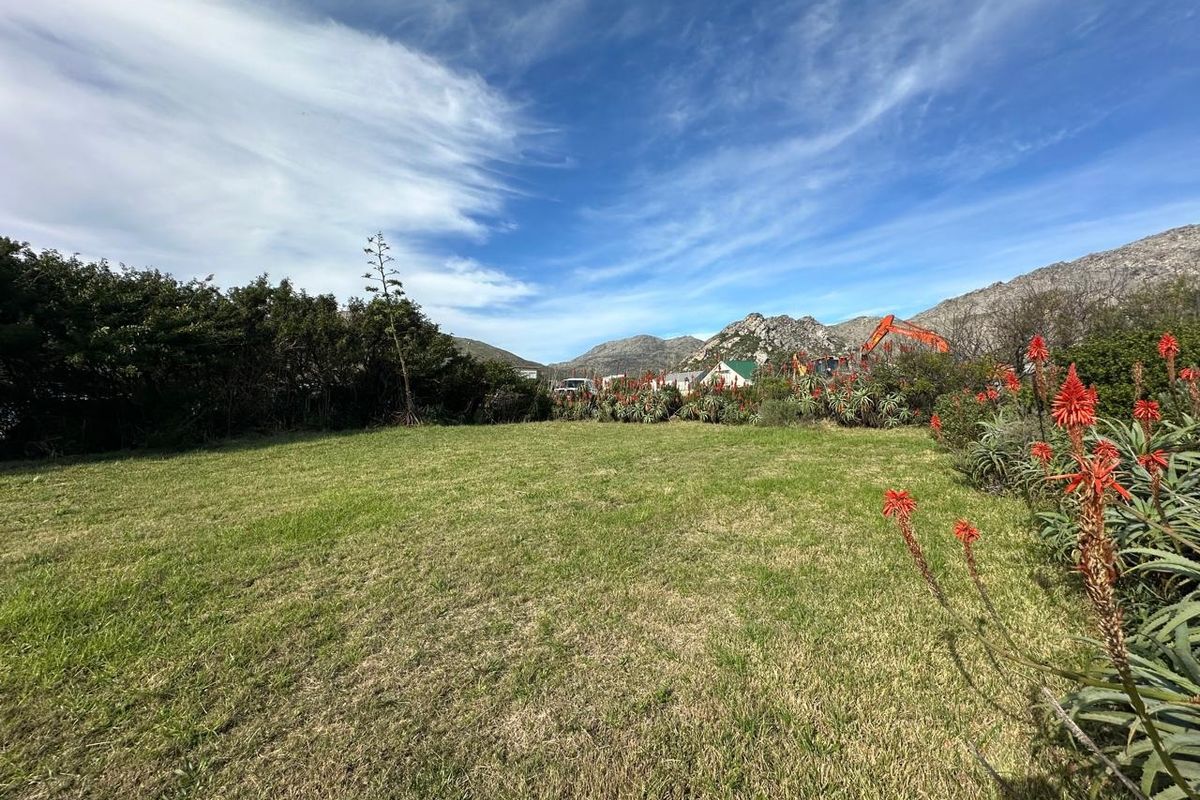 A well-maintained residential garden area featuring a grassy lawn and established aloe plants with mountain views in the background.