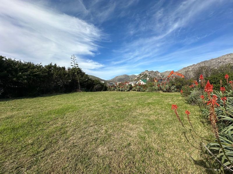 A well-maintained residential garden area featuring a grassy lawn and established aloe plants with mountain views in the background.