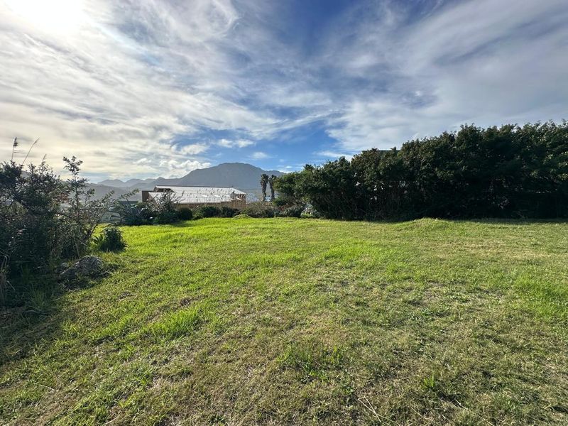 A spacious, well-maintained grassy plot featuring mature trees and shrubbery, offering scenic mountain views in a quiet residential setting.