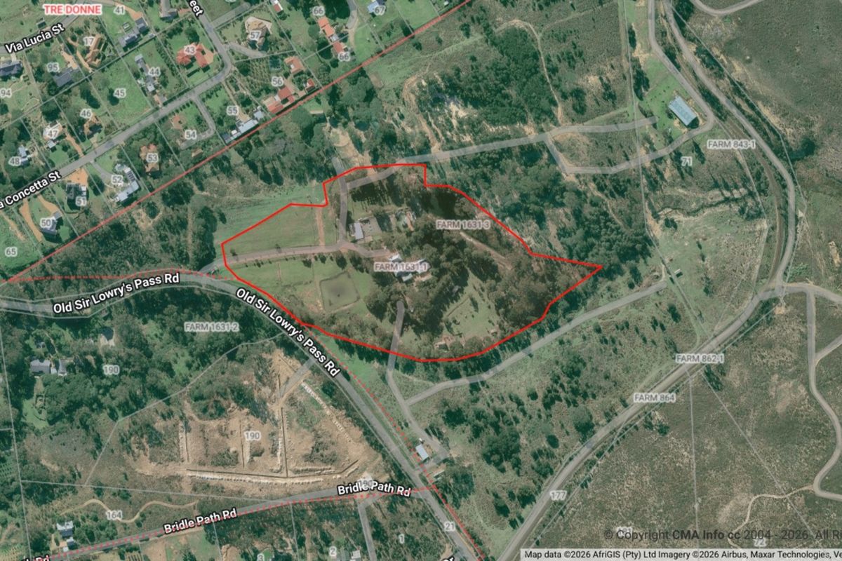 Aerial view of a large residential vacant land plot with established trees and road access.