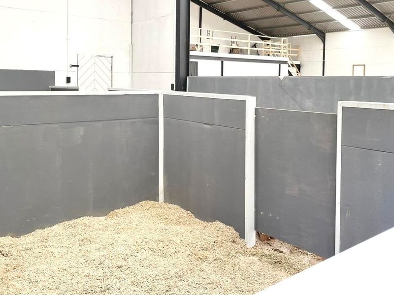 A clean, functional stable area within a large farm shed, featuring modern partitions and an overhead mezzanine level.