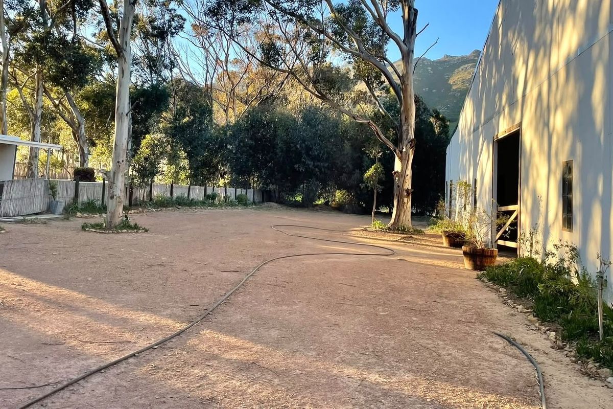 A spacious outdoor yard area featuring a large barn structure, mature trees, and natural landscaping on a farm property.