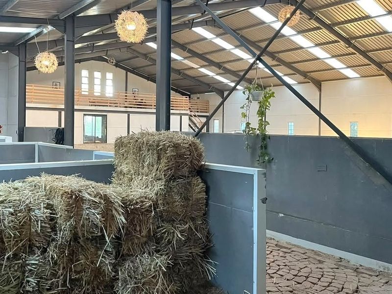 Spacious farm utility building featuring a steel portal frame, mezzanine level, skylights, stable partitions, and durable cobblestone flooring.
