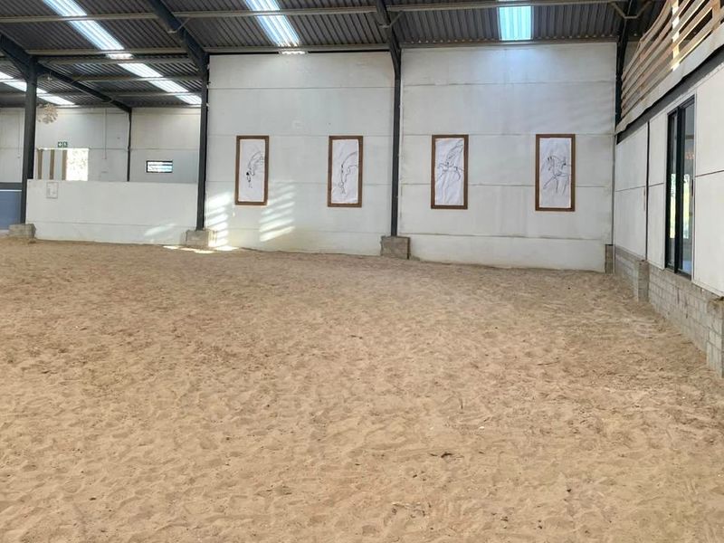 A spacious indoor equestrian arena featuring a sand surface, steel portal frame construction, and high-level translucent roof panels for natural lighting.
