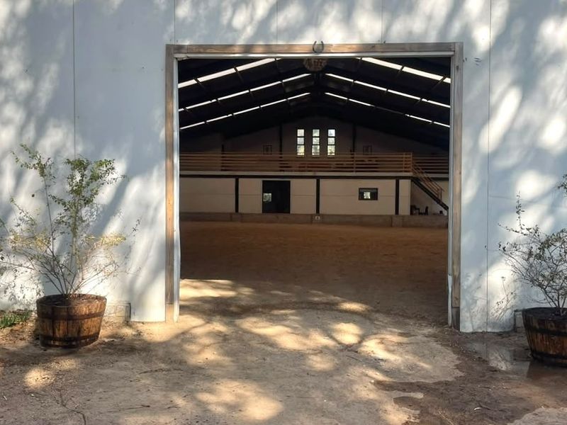 A view into a large indoor equestrian arena featuring a sand surface, exposed steel roof structure, and a mezzanine viewing level.